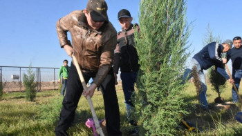 Фотография к новости: Түркістанда 25 мың түп көшет отырғызылды