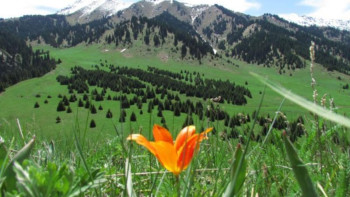 Фотография к новости: Көк-Жайлау жобасы әлем қауымдастығының айрықша назарын аудартты – Берік Уәли