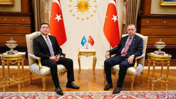 Фотография к новости: Мамин Түркия президентімен кездесті