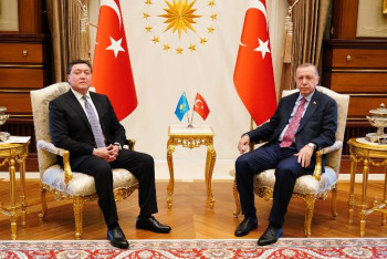 Фотография к новости: Мамин Түркия президентімен кездесті