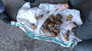 Фотография к новости: Алматы облысында жарылғыш зат сатқаны үшін 3 азамат сотталды