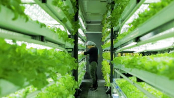 Фотография к новости: Тбилисиде алғашқы автоматтандырылған ферма іске қосылды