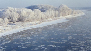 Фотография к новости: Алматылықтардың назарына!