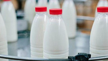 Фотография к новости: Талапқа сай емес. Елімізде сүт жетіспеушілігі туындауы мүмкін