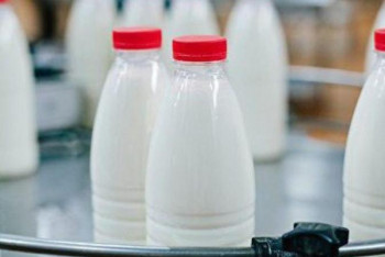 Фотография к новости: Талапқа сай емес. Елімізде сүт жетіспеушілігі туындауы мүмкін