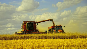 Фотография к новости: Шаруаларға субсидия төлеу үшін 28 млрд теңге бөлінді