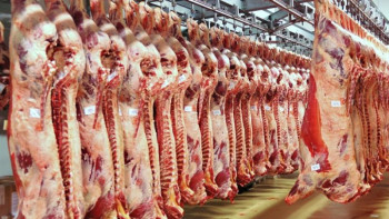 Фотография к новости: Қазақстан ет экспорттауда жетекші мемлекет бола алады