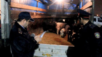 Фотография к новости: Қызылордада ет базарлары тексеріліп жатыр