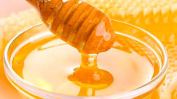 Фотография к новости: ШҚО фермерлері Алматыға 40 тонна бал әкеле жатыр