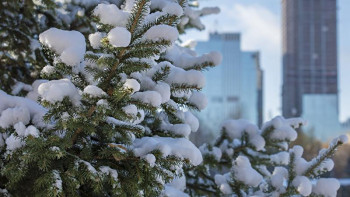Фотография к новости: 16 қарашаға арналған ауа райы болжамы