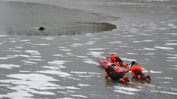 Фотография к новости: Павлодарда мұз үстінде жаттығу өтті