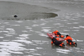 Фотография к новости: Павлодарда мұз үстінде жаттығу өтті