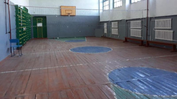 Фотография к новости: "Спорт залдары адам ұялатындай жағдайда". Сенатта ауылда спортты дамыту мәселесі айтылды