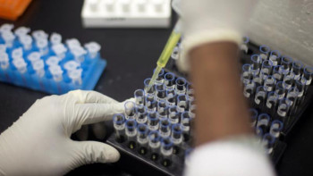 Фотография к новости: Жыл басынан бері 37 допинг ережесін бұзу фактісі анықталған