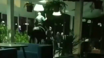 Фотография к новости: Алматы облысында ер адам атпен дәмханаға кіріп кетті