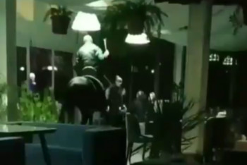 Фотография к новости: Алматы облысында ер адам атпен дәмханаға кіріп кетті