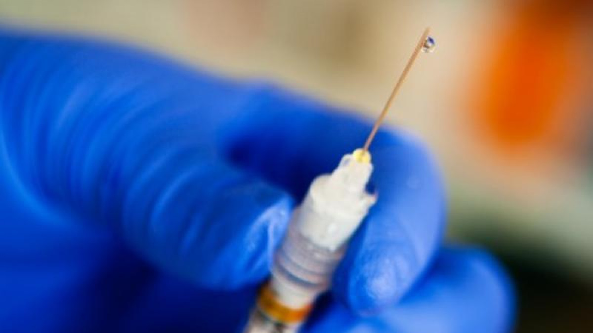 Бекшин тұмауға қарсы ақылы вакциналауға кеңес берді