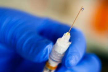 Фотография к новости: Бекшин тұмауға қарсы ақылы вакциналауға кеңес берді