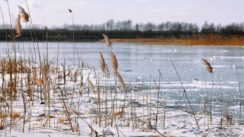 Фотография к новости: Есіл өзенінен ер адамның денесі табылды 