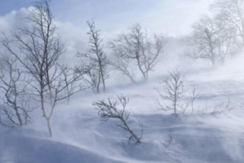 Фотография к новости: Маңғыстауда ауа райына байланысты ескерту жарияланды