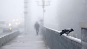 Фотография к новости: Үш күнге арналған ауа райы болжамы 