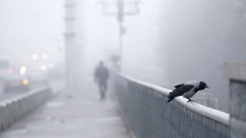 Фотография к новости: Үш өңірде ауа райына байланысты ескерту жарияланды