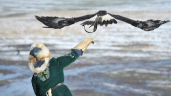 Фотография к новости: Алматы облысында "Сонар-2019" Халықаралық  турнирі өтеді