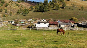 Фотография к новости: 7 миллионға жуық ауыл тұрғынының өмір сапасы жақсарады – Мамин