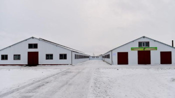 Фотография к новости: Солтүстiк Қазақстанда заманауи сүт фермасы ашылды