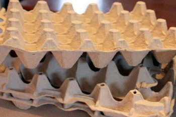 Фотография к новости: Батыс Қазақстанда қағаз қаптамалар жасайтын кәсіпорын ашылады