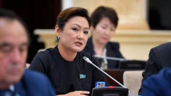 Фотография к новости: Дана Нұржігіт жалғызбасты аналардың жағдайына алаңдап, маңызды мәселе көтерді