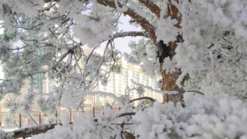 Фотография к новости: Демалыс күндеріне арналған ауа райы 