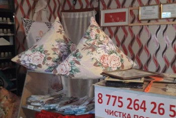 Фотография к новости: БЖК-2020: Қызылорда облысында 2010 жылдан бері 2143 жоба қаржыландырылған