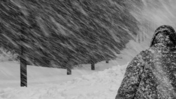 Фотография к новости: Еліміздің басым бөлігінде көктайғақ пен тұман күтіледі