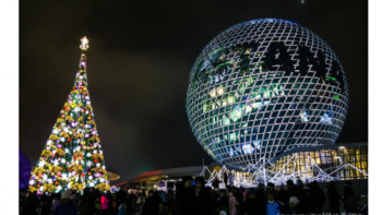Фотография к новости: Көлгінов қаланы безендіруге шыршалар сатып алынбағанын айтты
