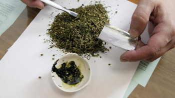 Фотография к новости: Жамбыл облысында бес тәулікте 50-ге жуық есірткі қылмысы анықталды