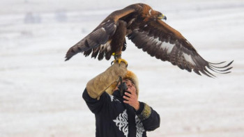 Фотография к новости: Алматыда құсбегілердің "Қыран-2019" турнирі өтті