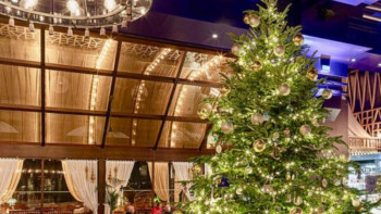 Фотография к новости: Әлемдегі ең қымбат шырша бағасы қандай