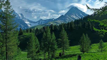 Фотография к новости: Қоршаған ортаны барынша сақтап қалуымыз қажет – Мамин 