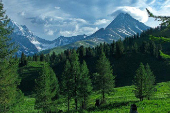 Фотография к новости: Қоршаған ортаны барынша сақтап қалуымыз қажет – Мамин 