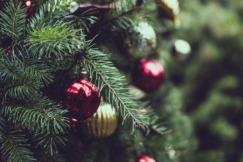 Фотография к новости: Алматыда қайырымдылық шыршасы өтті 