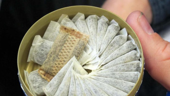 Фотография к новости: Қазақстанда снюсқа уақытша тыйым салынды