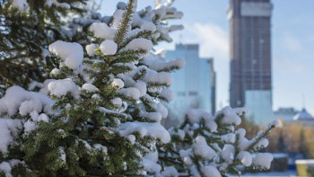 Фотография к новости: Үш күнге арналған ауа райы болжамы 