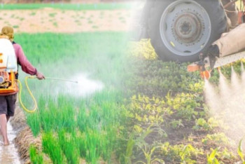 Фотография к новости: ҚР Ауыл шаруашылығы министрлігі қытайлық пестицидке тыйым  салды