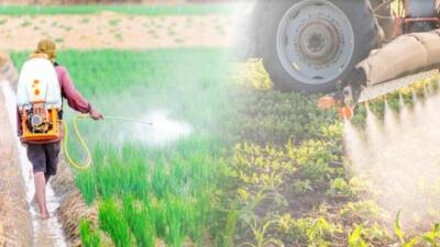 ҚР Ауыл шаруашылығы министрлігі қытайлық пестицидке тыйым  салды