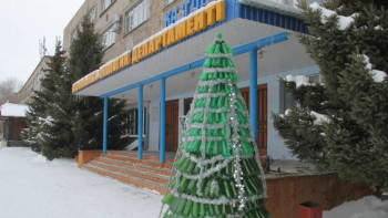 Фотография к новости: Өскеменде ерекше шырша пайда болды