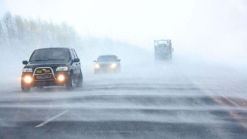 Фотография к новости: ﻿Қазақстанның басым бөлігін тағы тұман басады