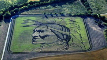 Фотография к новости: Суреттерін жерден өсіріп шығаратын суретші 