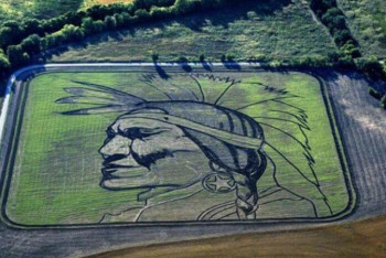 Фотография к новости: Суреттерін жерден өсіріп шығаратын суретші 