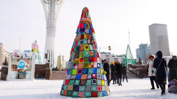 Фотография к новости: Елордада ерекше шырша қойылды